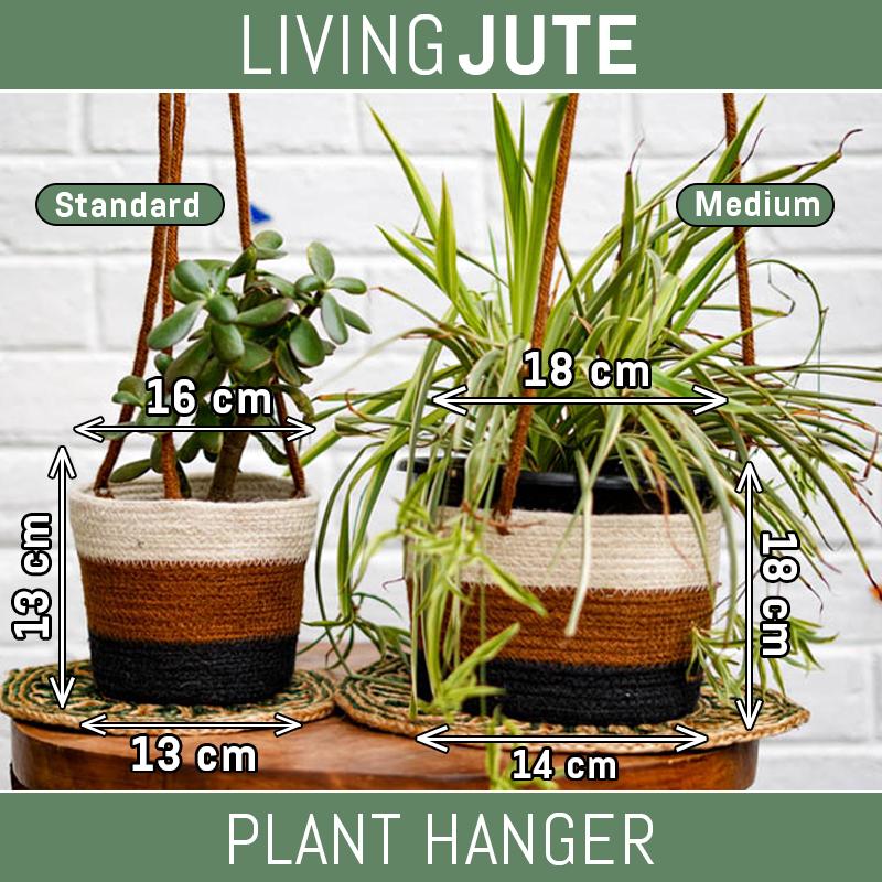 Plant Hanger - Sandy Range